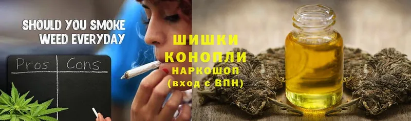 Шишки марихуана SATIVA & INDICA  мега tor  Губкинский  как найти наркотики 